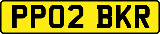 PP02BKR