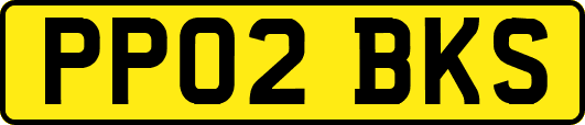 PP02BKS