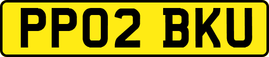 PP02BKU
