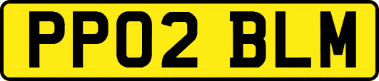 PP02BLM