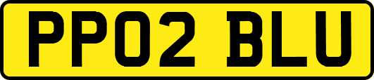 PP02BLU