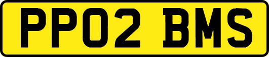 PP02BMS