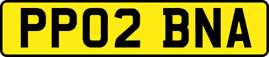 PP02BNA
