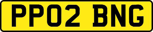 PP02BNG