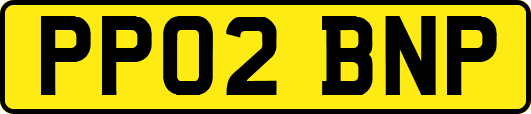 PP02BNP