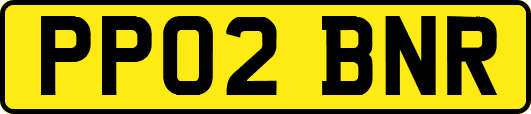 PP02BNR