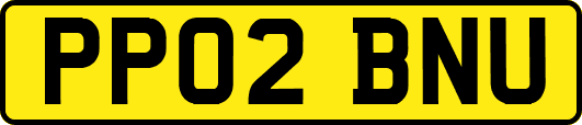 PP02BNU