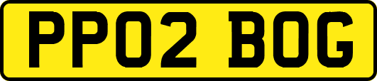PP02BOG