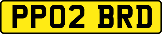 PP02BRD