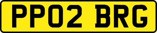 PP02BRG