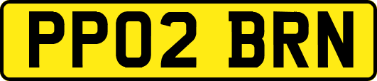 PP02BRN