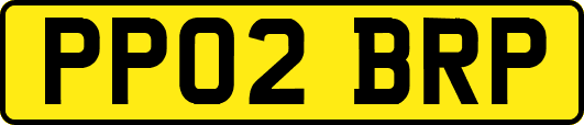 PP02BRP