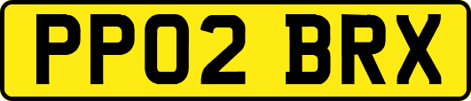 PP02BRX