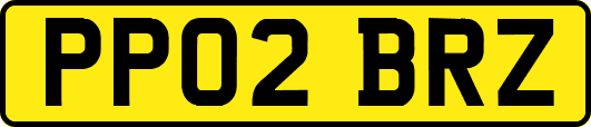PP02BRZ