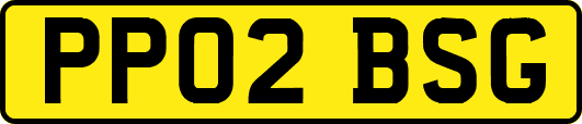PP02BSG