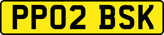 PP02BSK