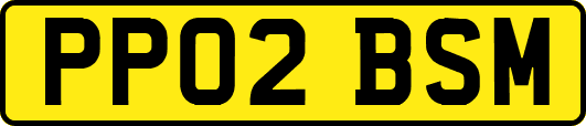 PP02BSM