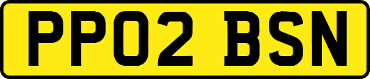 PP02BSN