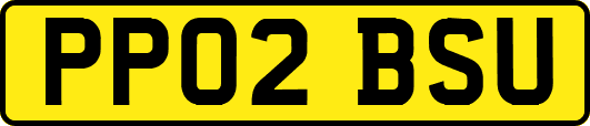 PP02BSU