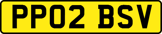 PP02BSV