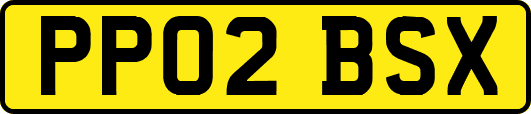 PP02BSX