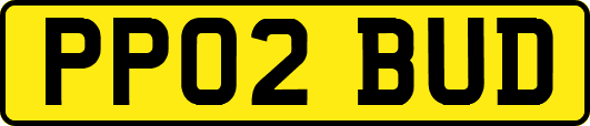 PP02BUD
