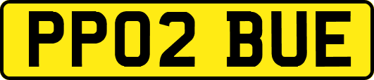 PP02BUE