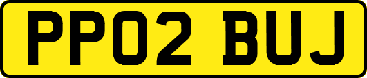 PP02BUJ