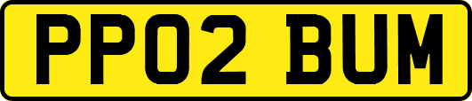 PP02BUM