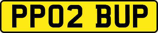 PP02BUP
