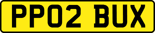 PP02BUX