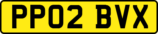 PP02BVX