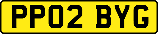 PP02BYG