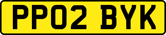 PP02BYK