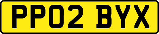 PP02BYX