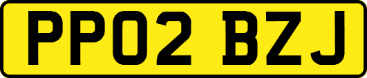 PP02BZJ