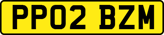 PP02BZM