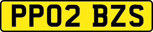 PP02BZS