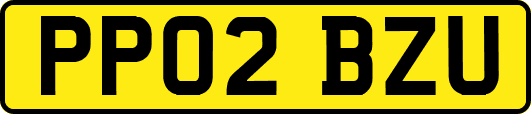 PP02BZU