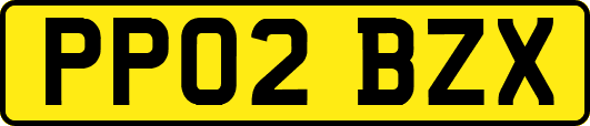 PP02BZX