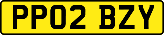PP02BZY