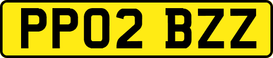 PP02BZZ