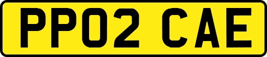 PP02CAE