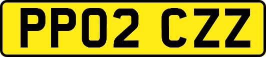 PP02CZZ