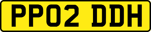 PP02DDH