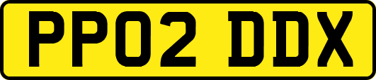 PP02DDX