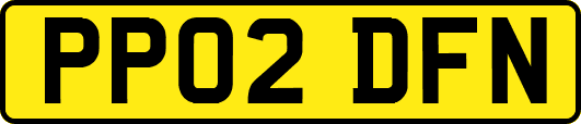 PP02DFN