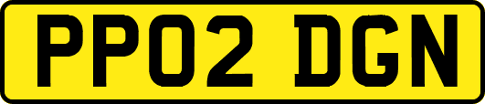 PP02DGN
