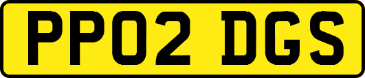 PP02DGS