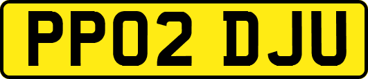 PP02DJU
